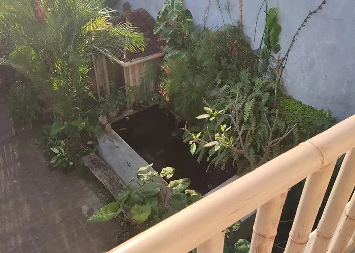 Kubu Di-kayla's